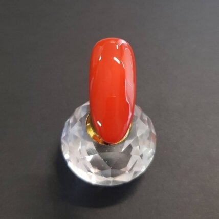 YOSHI Gelinis lakas Good Red Bed 6 ml - 303 1 YOSHI Gelinis lakas Good Red Bed 6 ml - 303 1