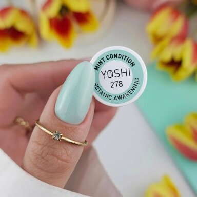 Gelinis lakas Yoshi - Mint Condition 6 ml – 278 Gelinis lakas Yoshi - Mint Condition 6 ml – 278